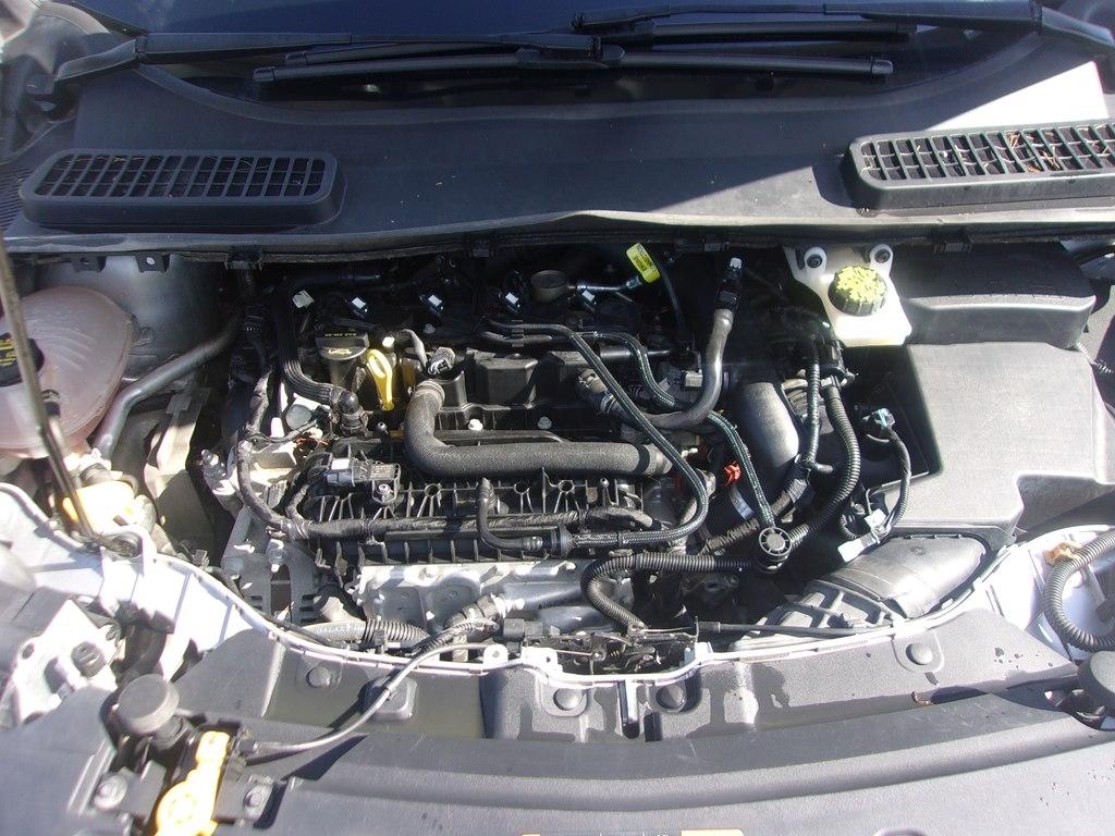 Ford Escape SEL 4WD 2019