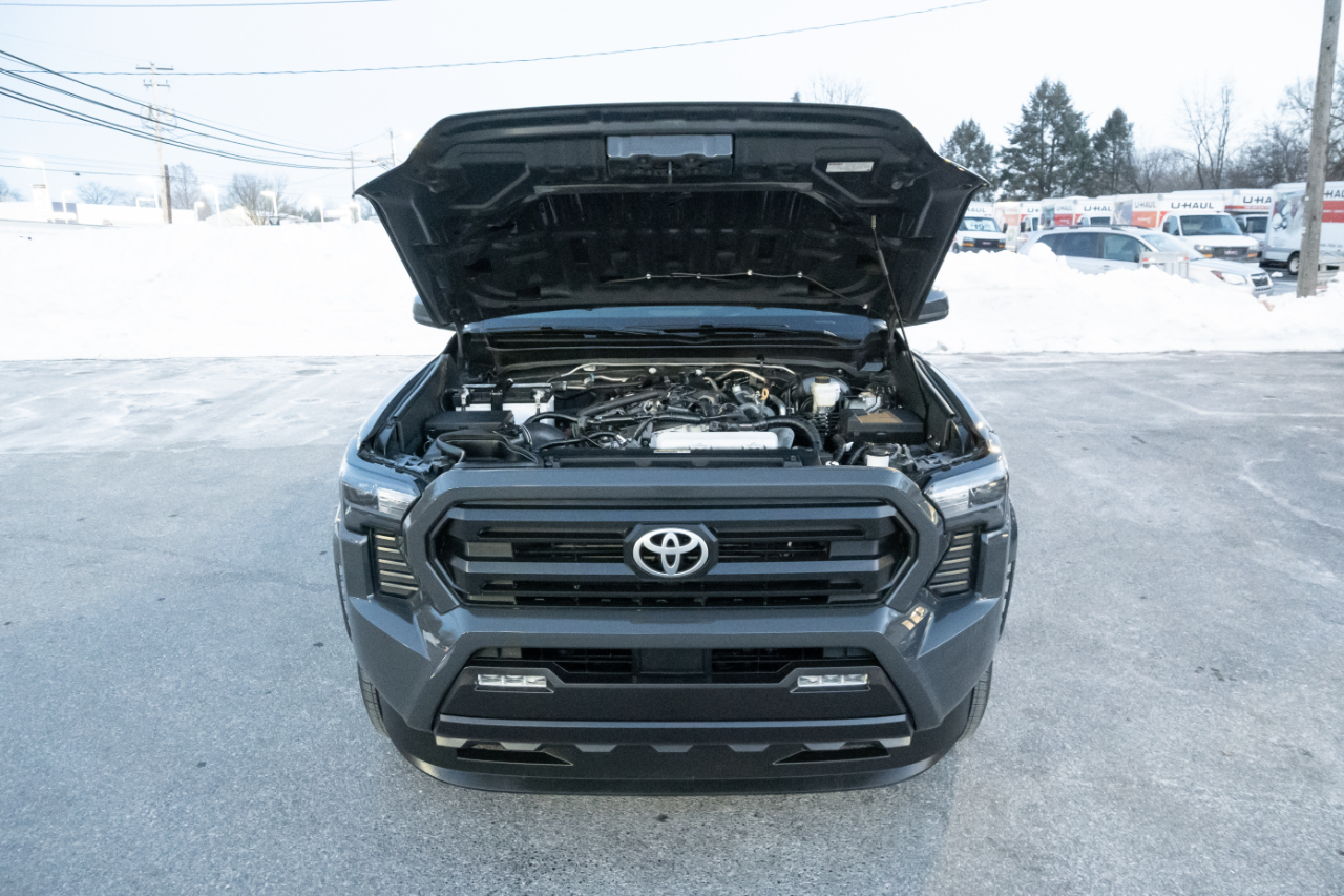 Toyota Tacoma 2WD SR5 Double Cab 6' Bed AT (Natl) 2024