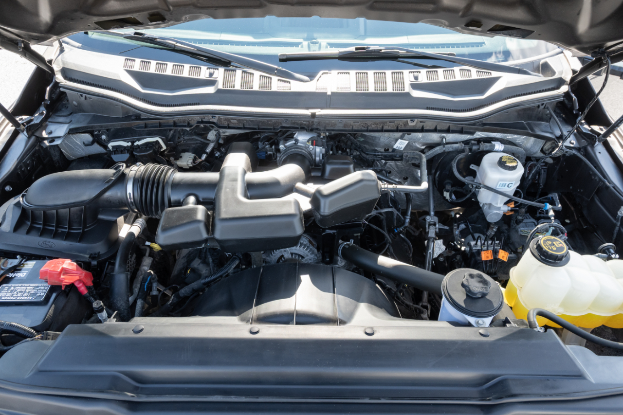 Ford Super Duty F-350 SRW XL 4WD Crew Cab 8' Box 2019