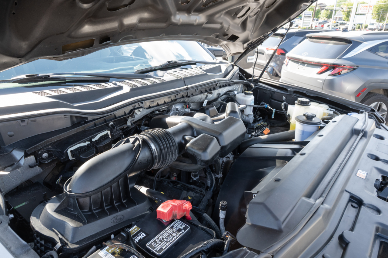 Ford Super Duty F-350 SRW XL 4WD Crew Cab 8' Box 2019