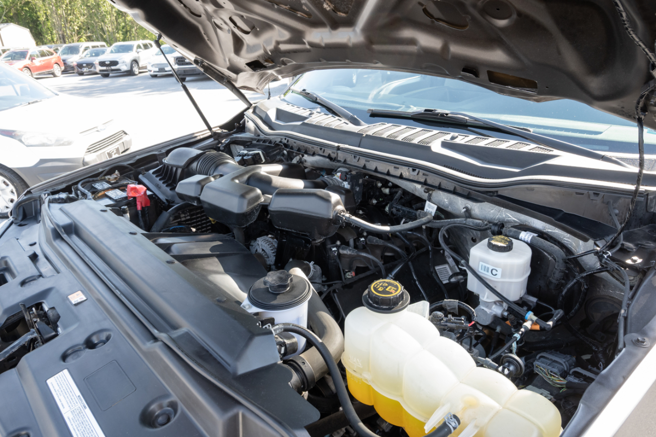 Ford Super Duty F-350 SRW XL 4WD Crew Cab 8' Box 2019
