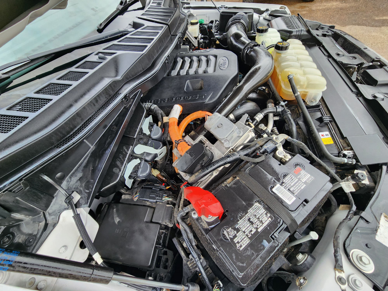 Ford F-150 XLT SuperCrew 4WD 2023