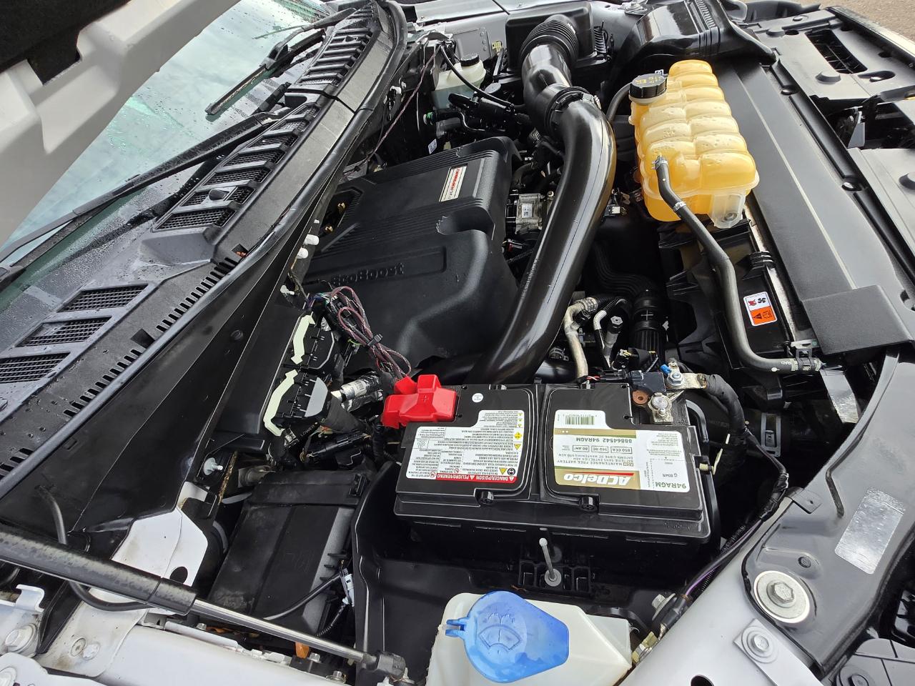 Ford F-150 Raptor SuperCrew 4WD 2018