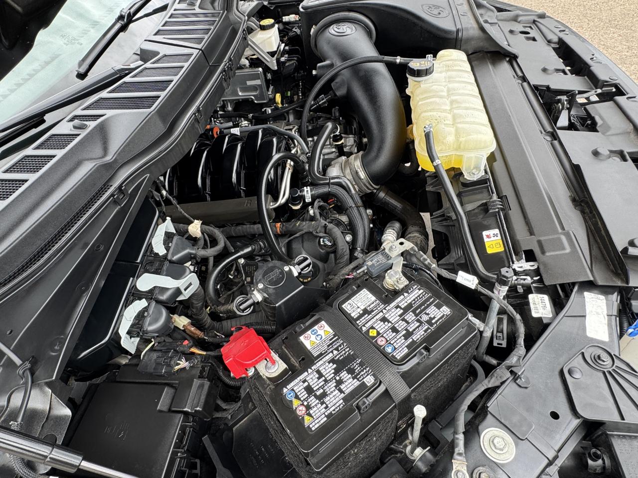 Ford F-150  2024