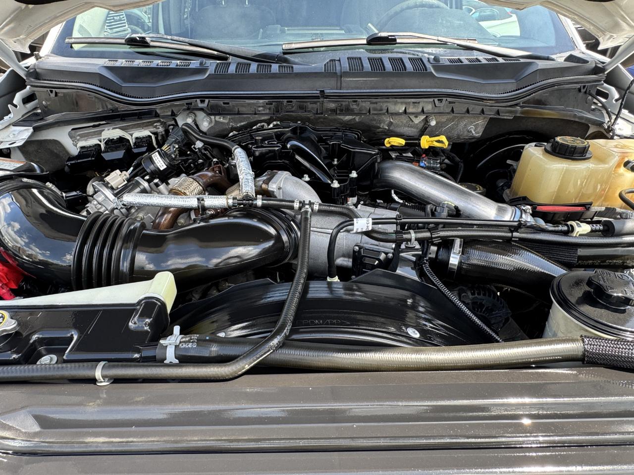 Ford Super Duty F-250 SRW  2019