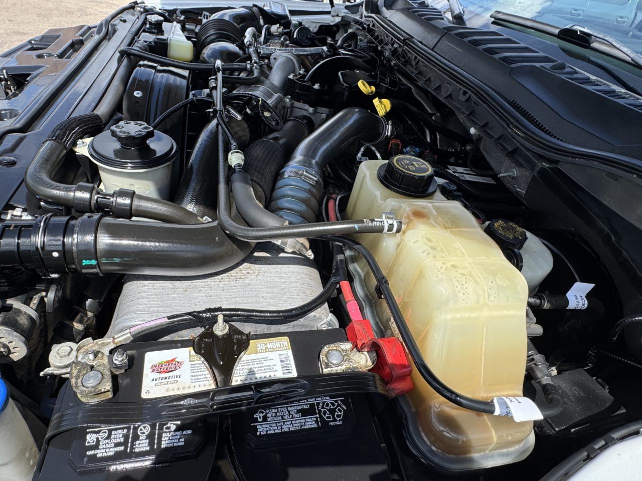 Ford Super Duty F-250 SRW  2019
