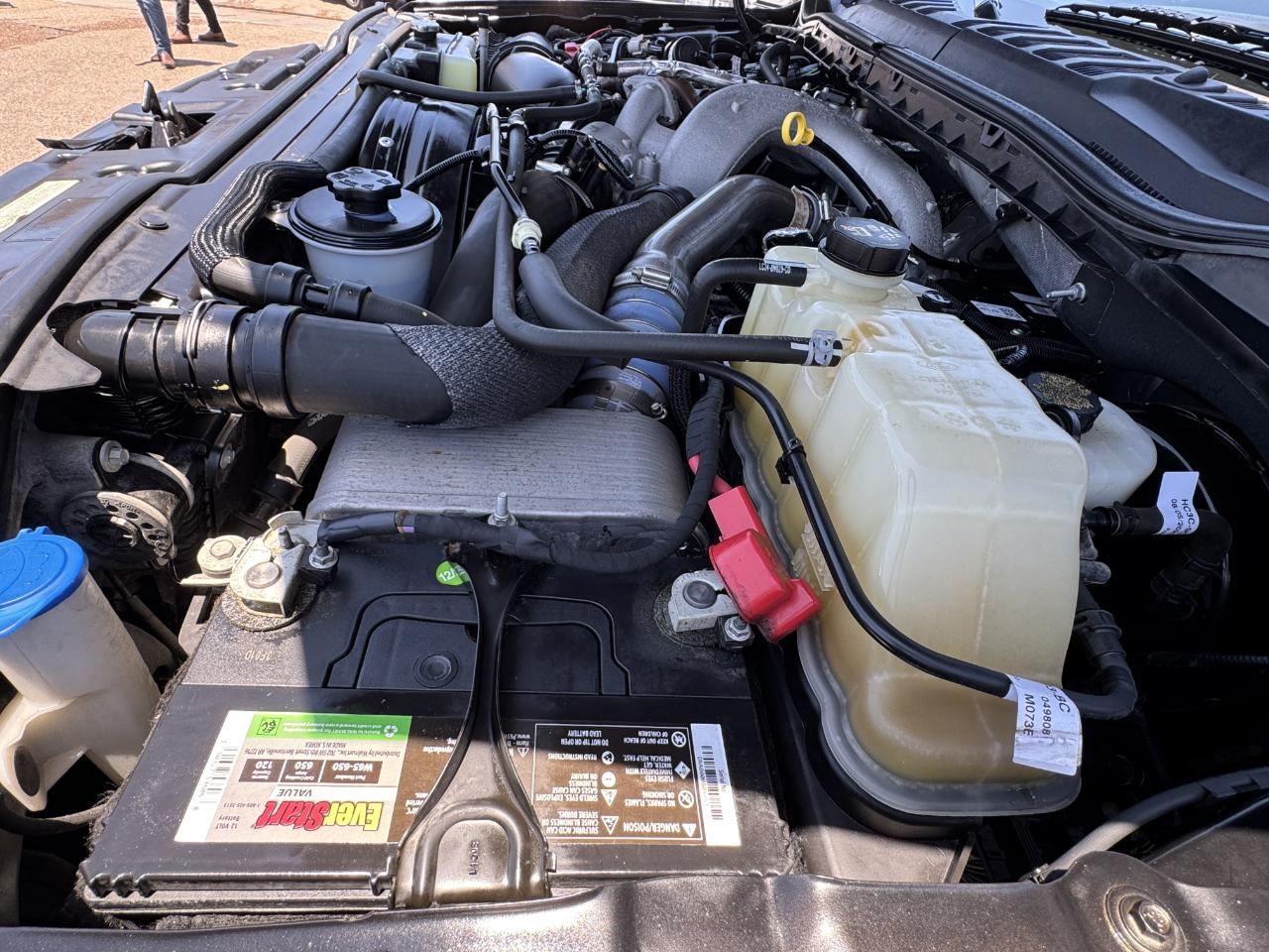 Ford Super Duty F-250 SRW  2020