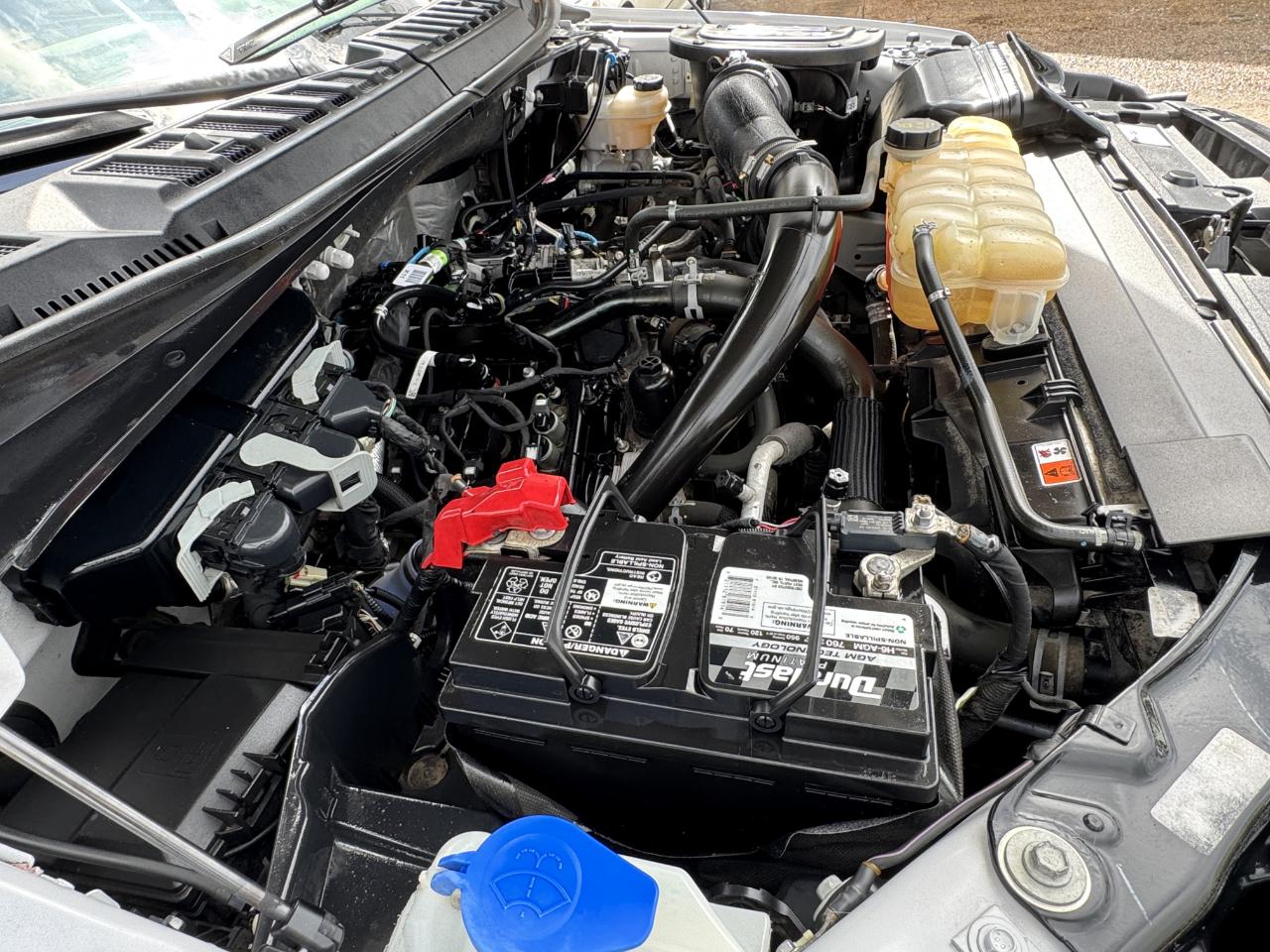 Ford F-150 XLT SuperCrew 4WD 2019