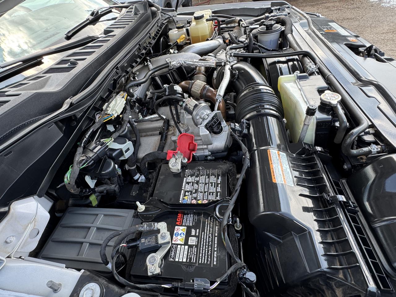 Ford Super Duty F-250 SRW  2023