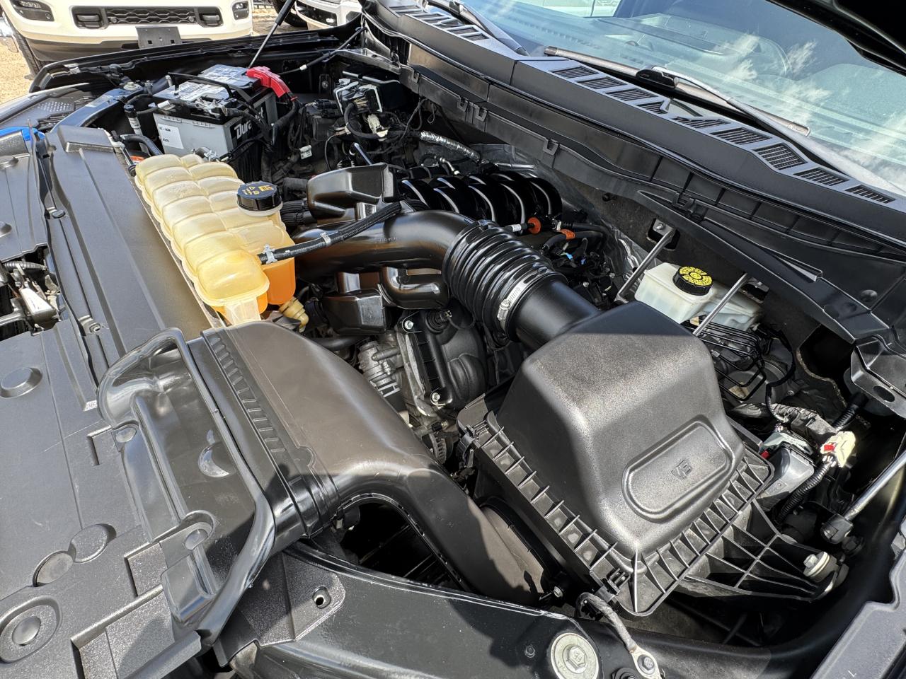 Ford F-150 XLT SuperCrew 2WD 2022