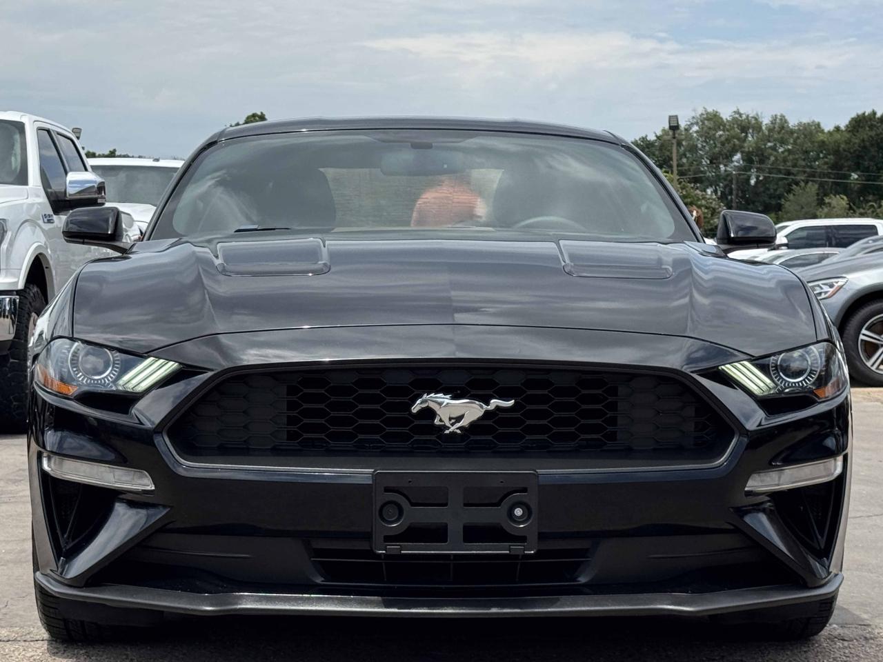 Ford Mustang  2019