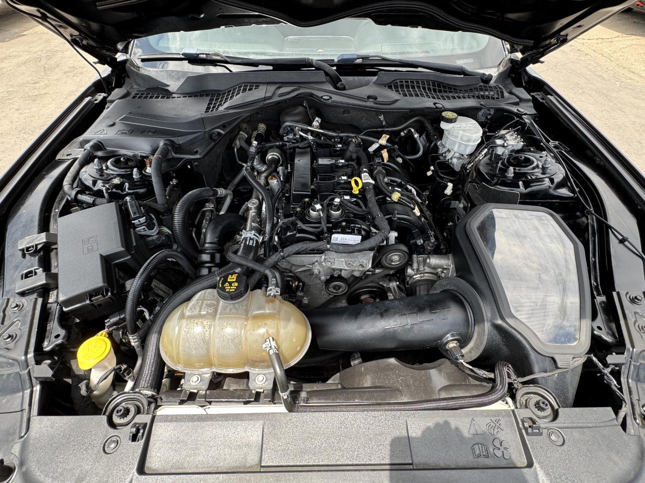 Ford Mustang  2019