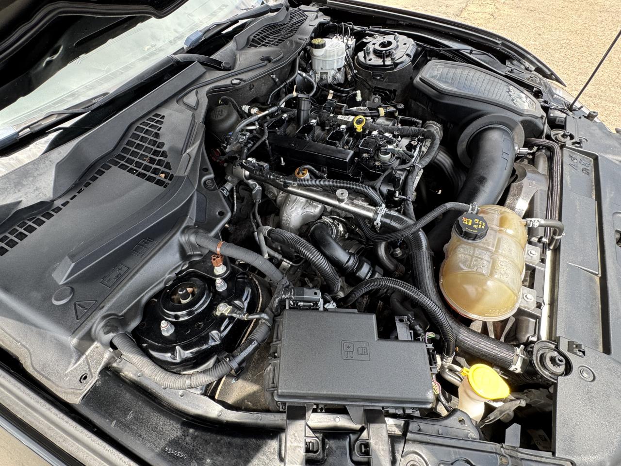 Ford Mustang  2019