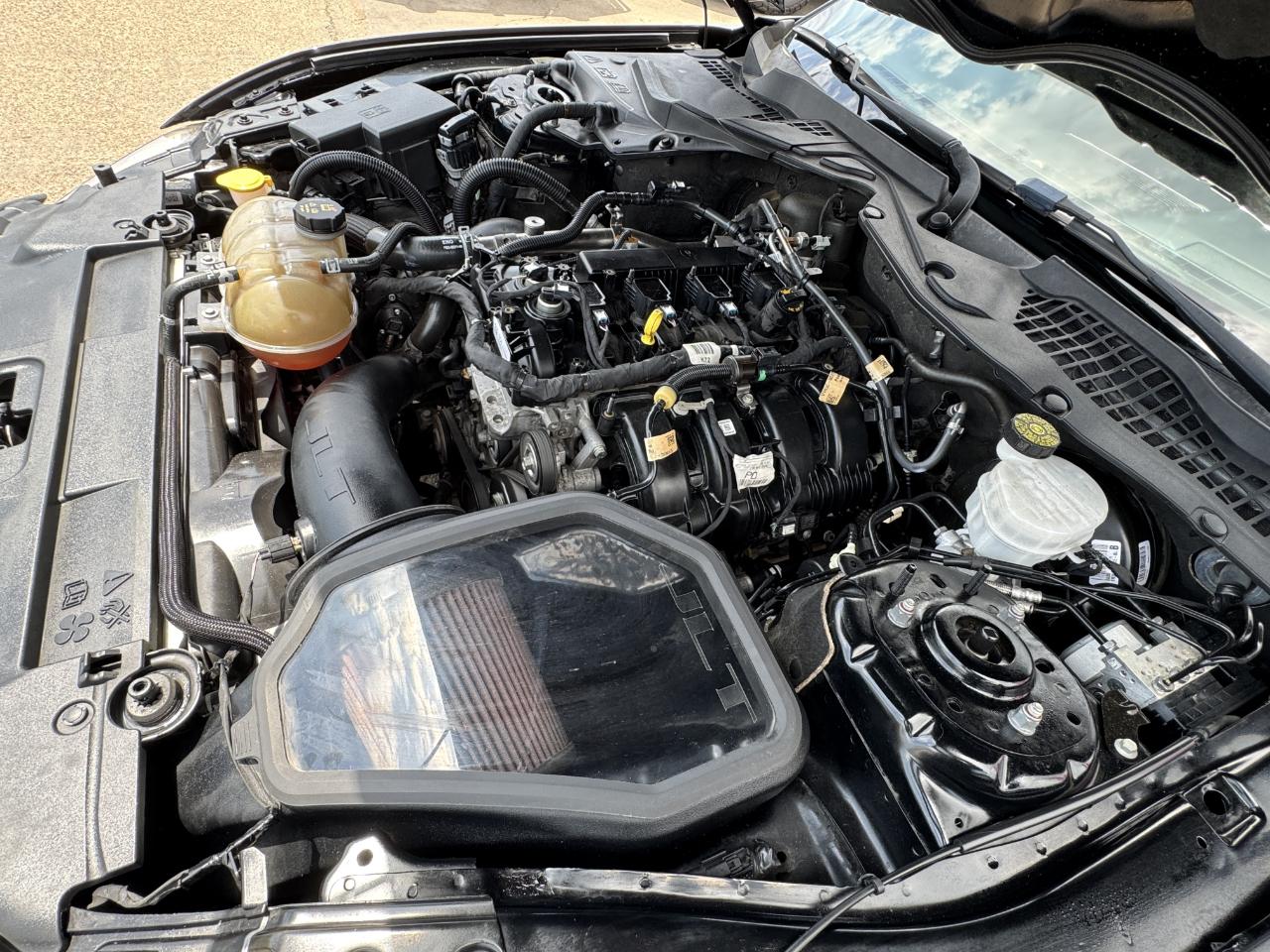 Ford Mustang  2019