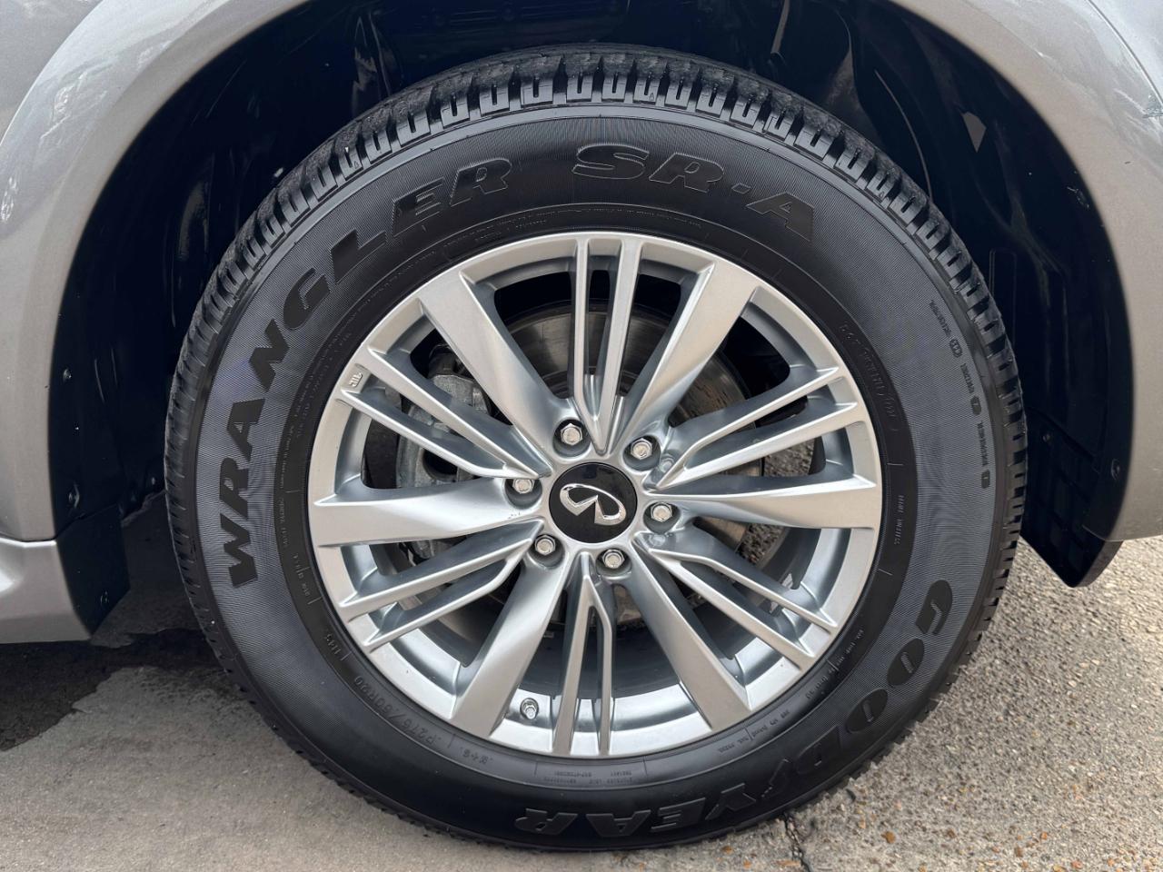 Infiniti QX80  2019