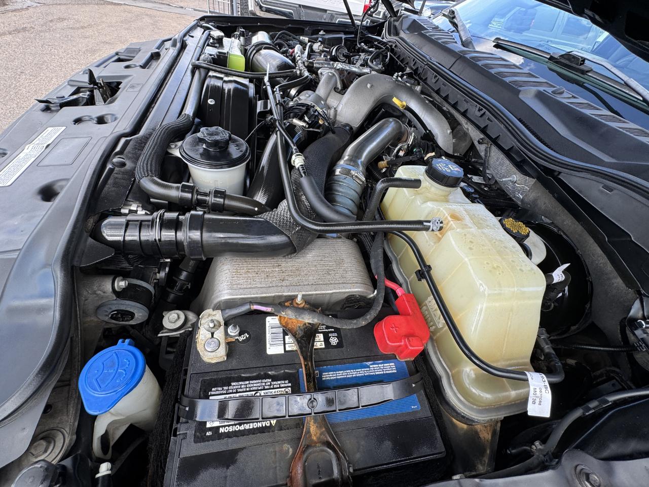 Ford Super Duty F-250 SRW  2021