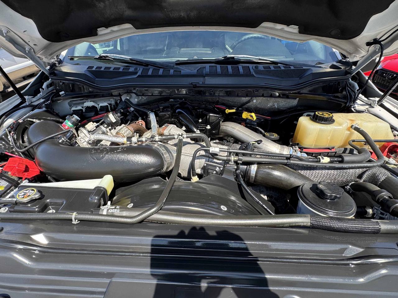 Ford Super Duty F-250 SRW  2019