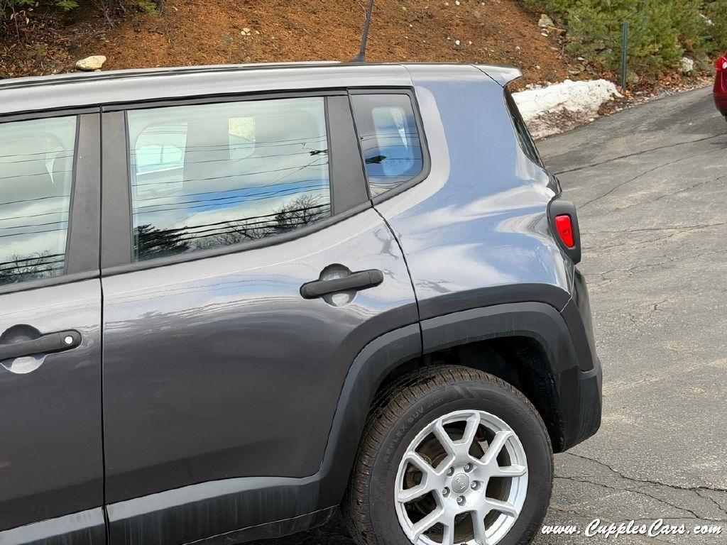 Jeep Renegade  2019