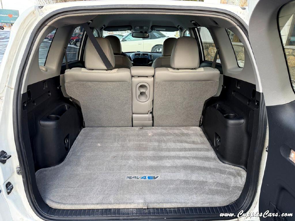 Toyota RAV4 EV  2014