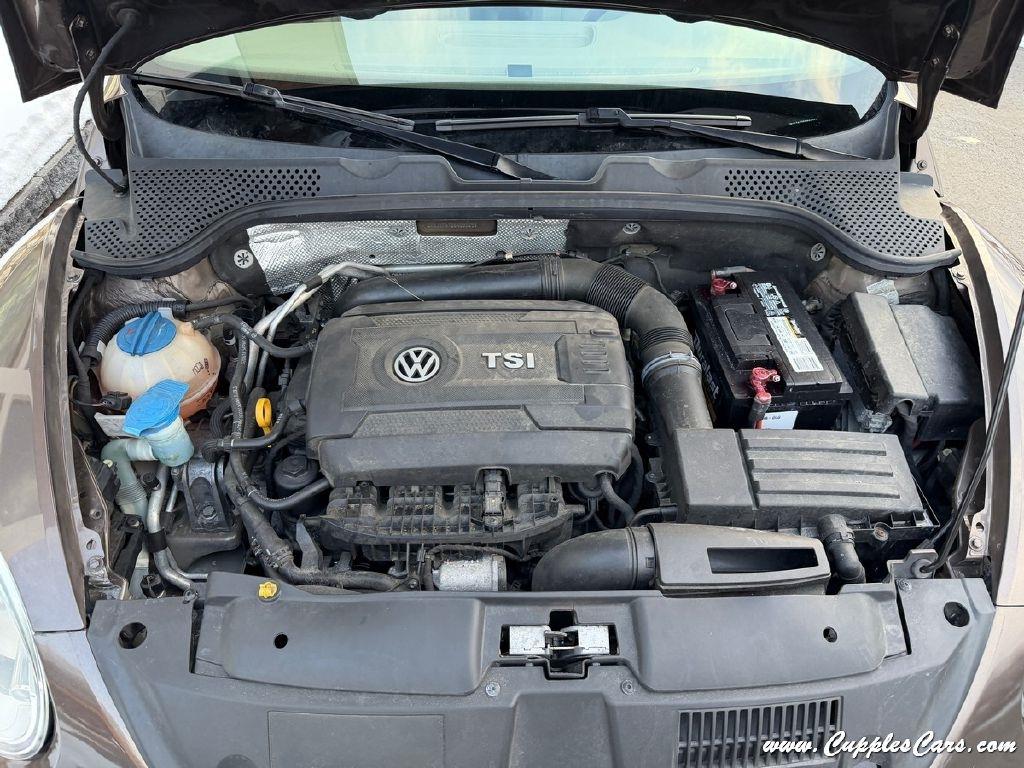 Volkswagen Beetle  2014