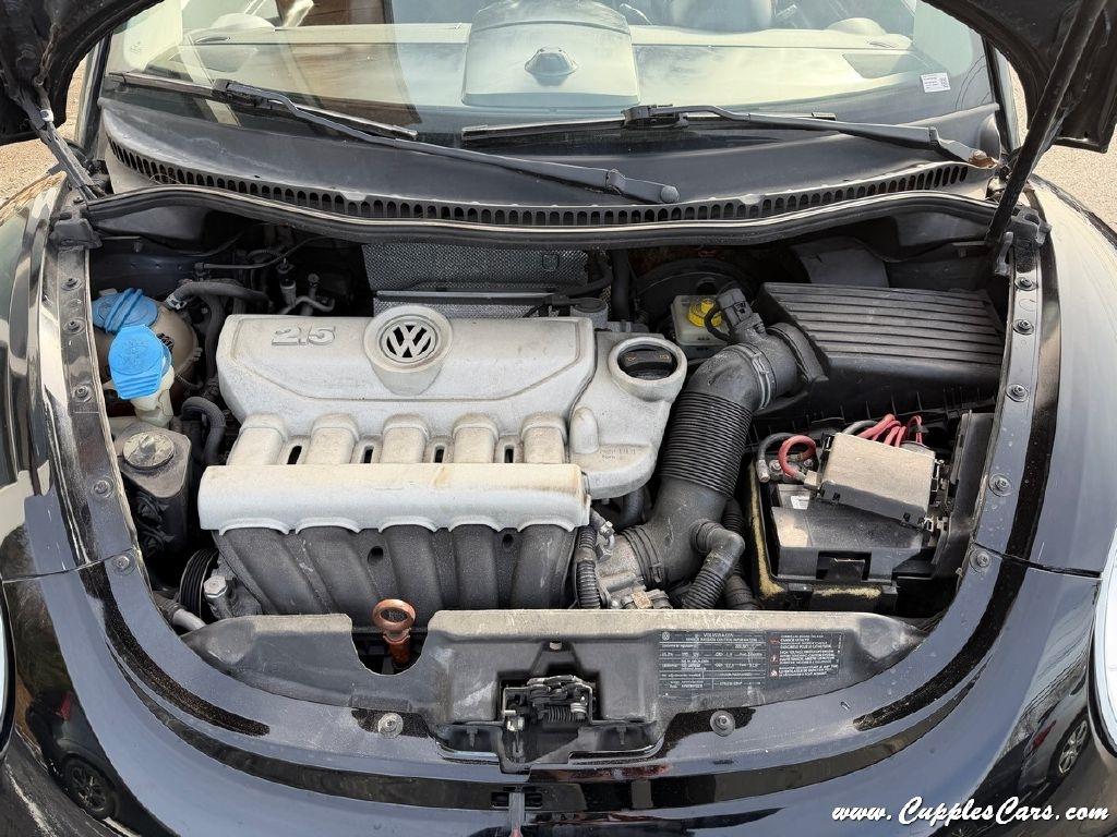 Volkswagen New Beetle  2010
