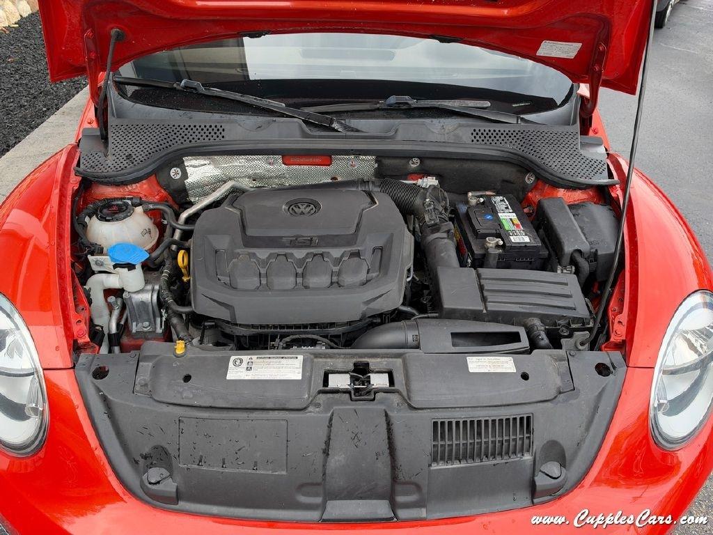 Volkswagen Beetle  2019