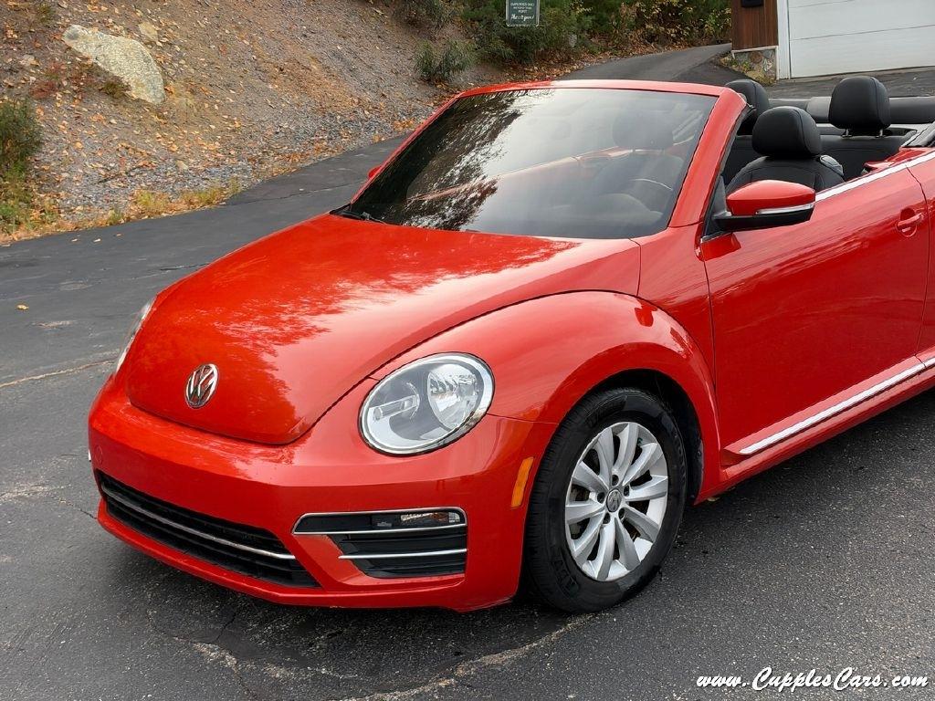 Volkswagen Beetle  2019