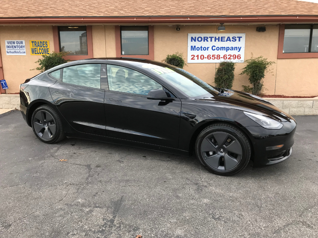 2021 Tesla Model 3 Base's photo