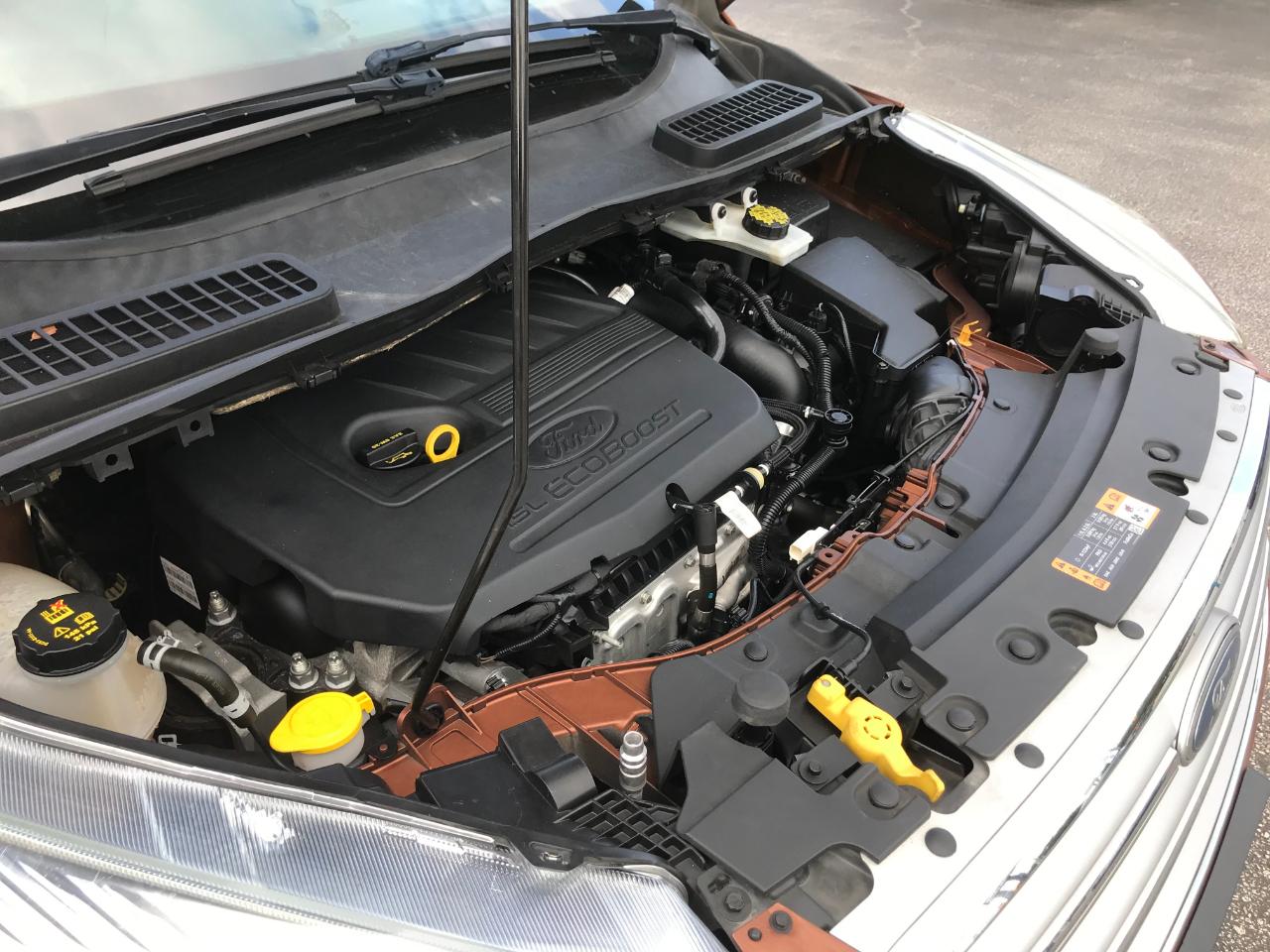 Ford Escape SE FWD 2017