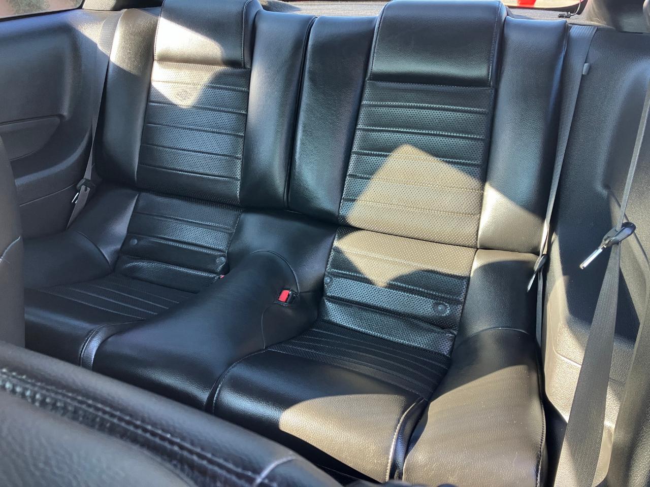 Ford Mustang GT Deluxe Coupe 2007
