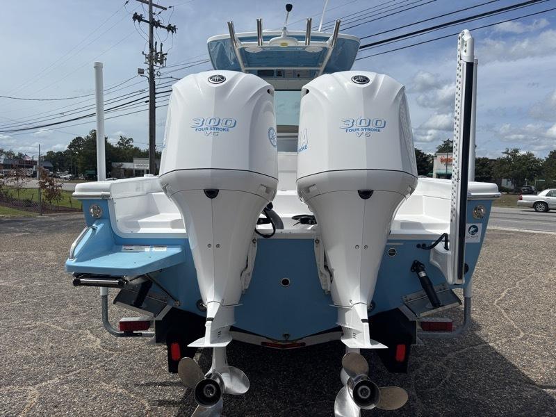 Everglades 273cc  2020