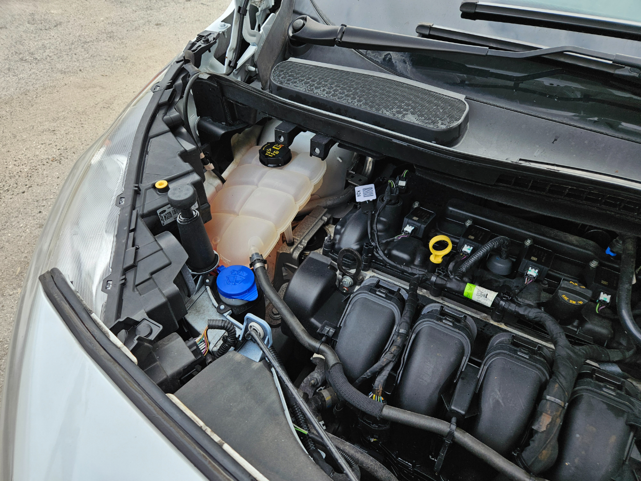 Ford Transit Connect XL Cargo Van 2019 Ford Transit Connect XL Cargo Van 2019