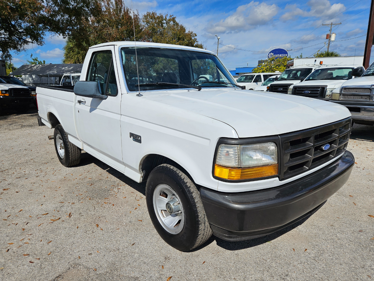Ford F-150 XL 6.5-ft. Bed 2WD 1995