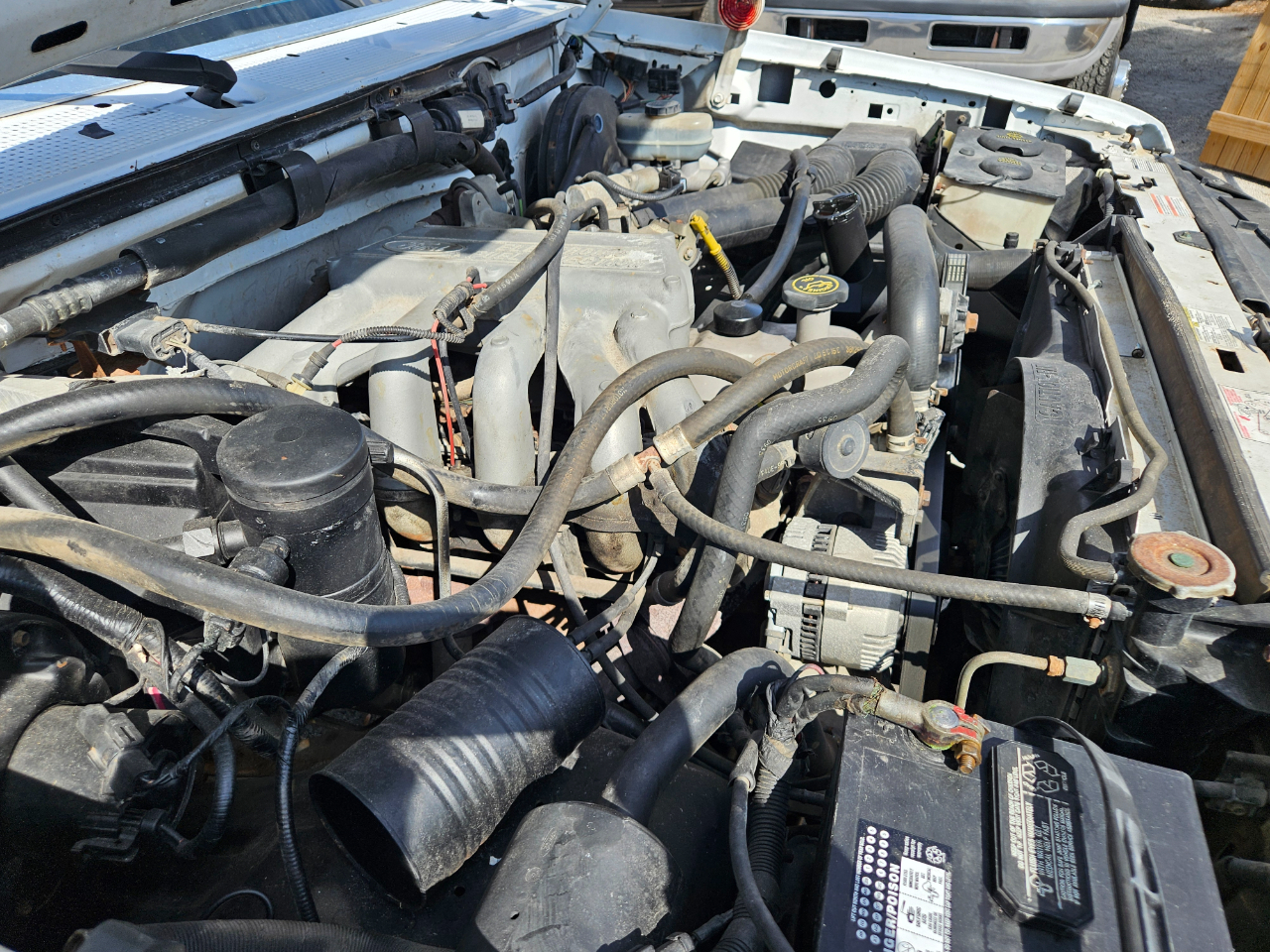 Ford F-150 XL 6.5-ft. Bed 2WD 1995