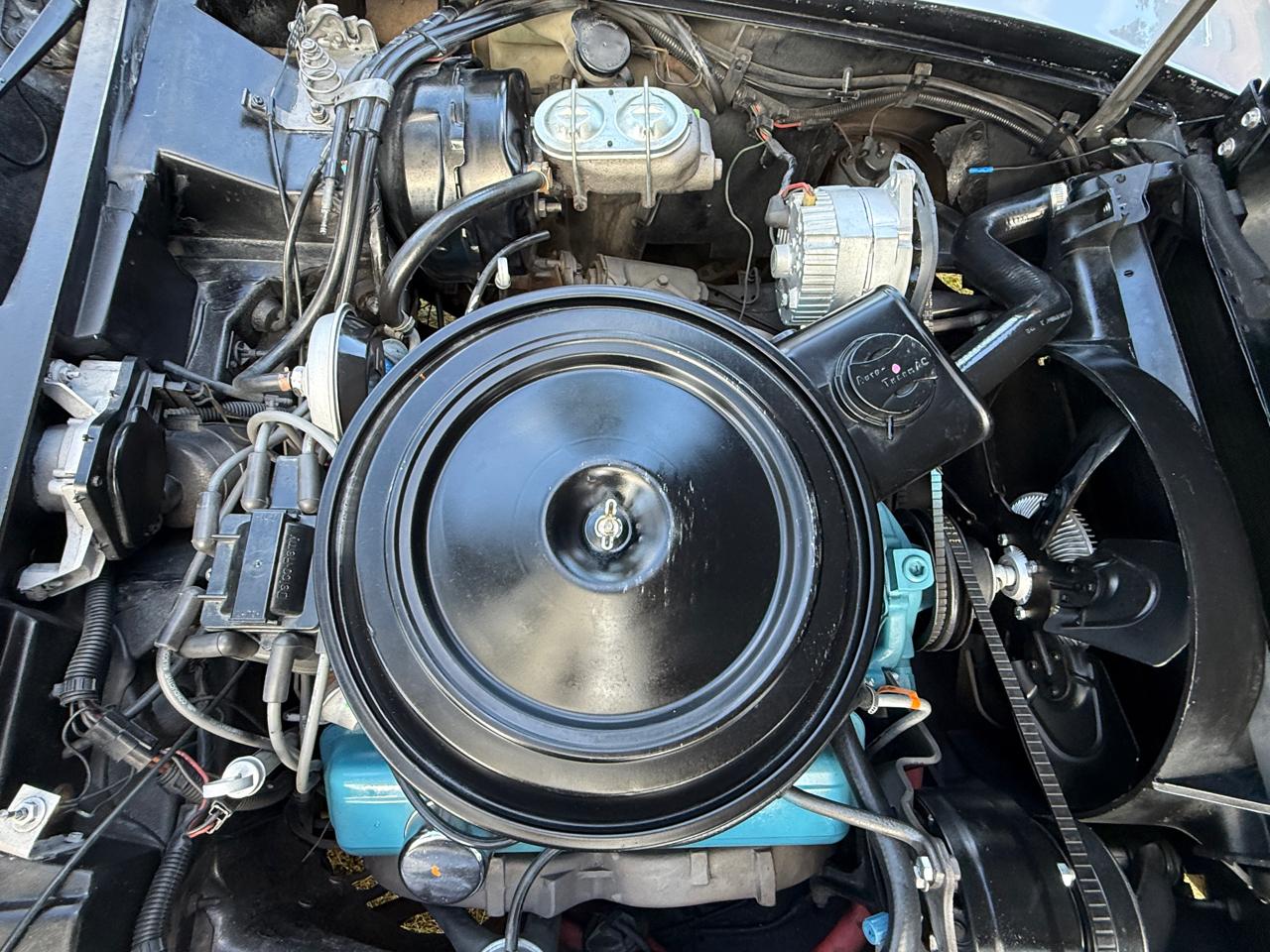 Chevrolet Corvette  1978