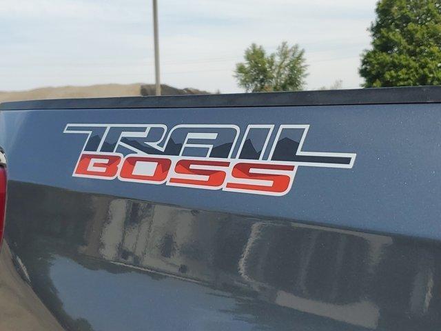 Chevrolet Silverado 1500 LTD  2022