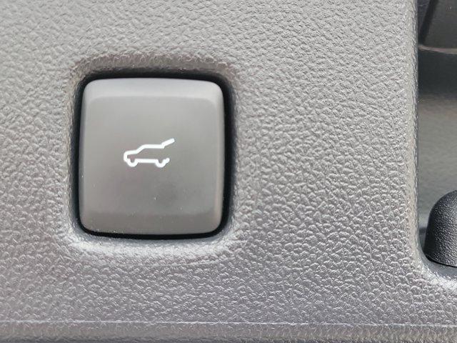 Ford Escape Plug-in Hybrid  2025