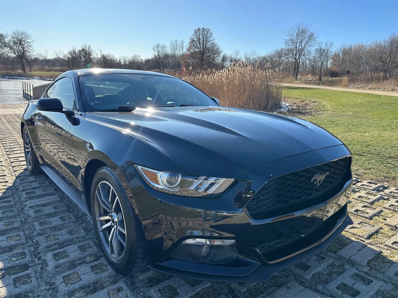 Ford Mustang  2015