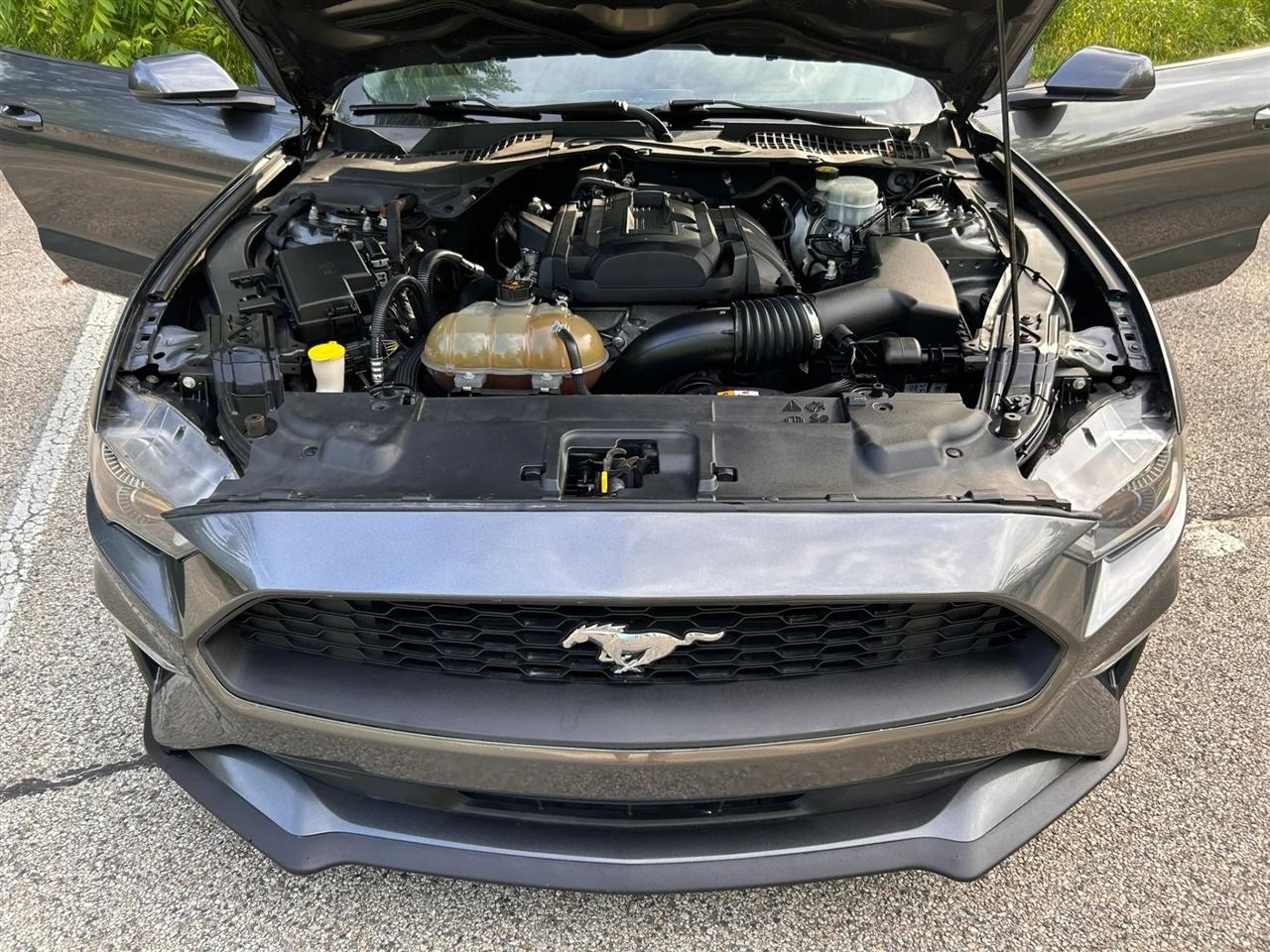 Ford Mustang  2018