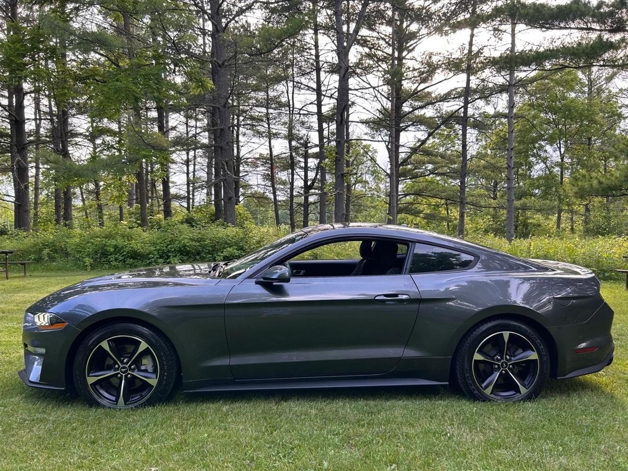Ford Mustang  2018