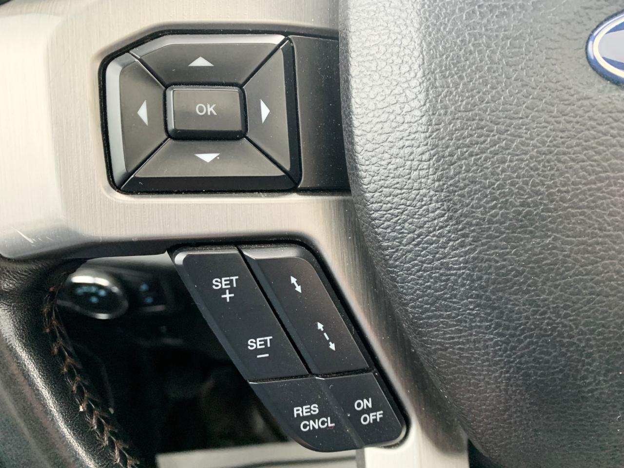 Ford F-250 SD Platinum Crew Cab 4WD 2020