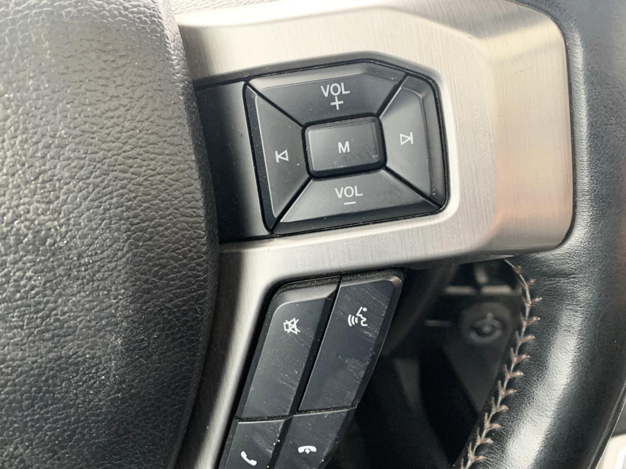 Ford F-250 SD Platinum Crew Cab 4WD 2020