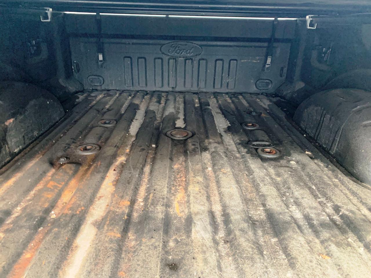 Ford F-250 SD Platinum Crew Cab 4WD 2020