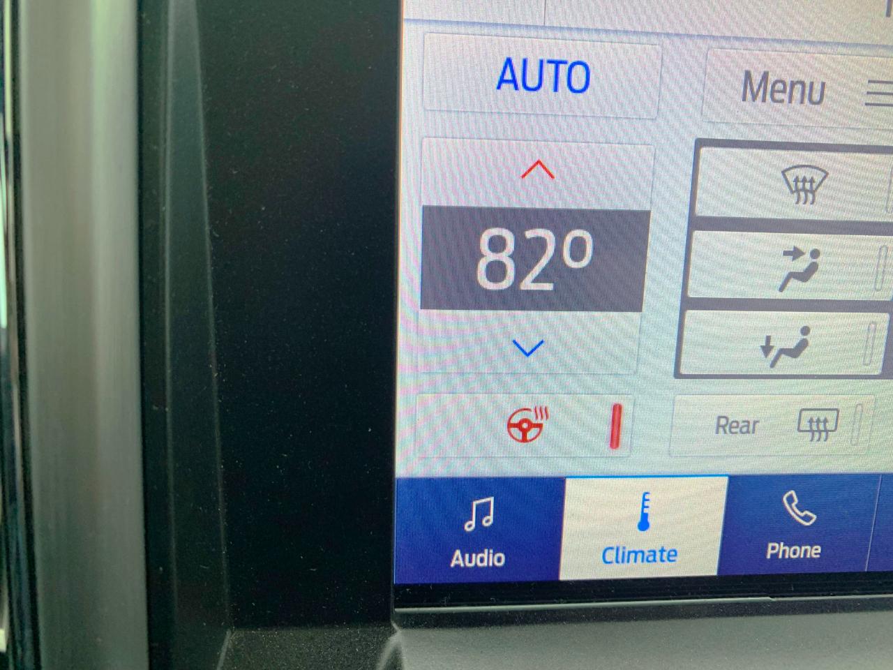 Ford F-250 SD Platinum Crew Cab 4WD 2020