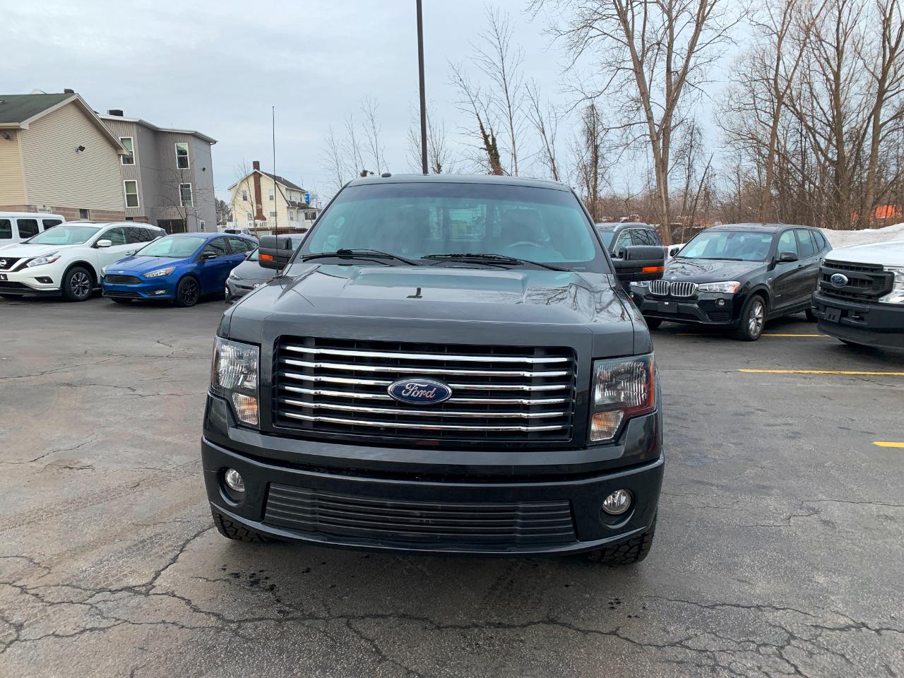 Ford F-150 Harley-Davidson SuperCrew 5.5-ft. Bed 4WD 2010