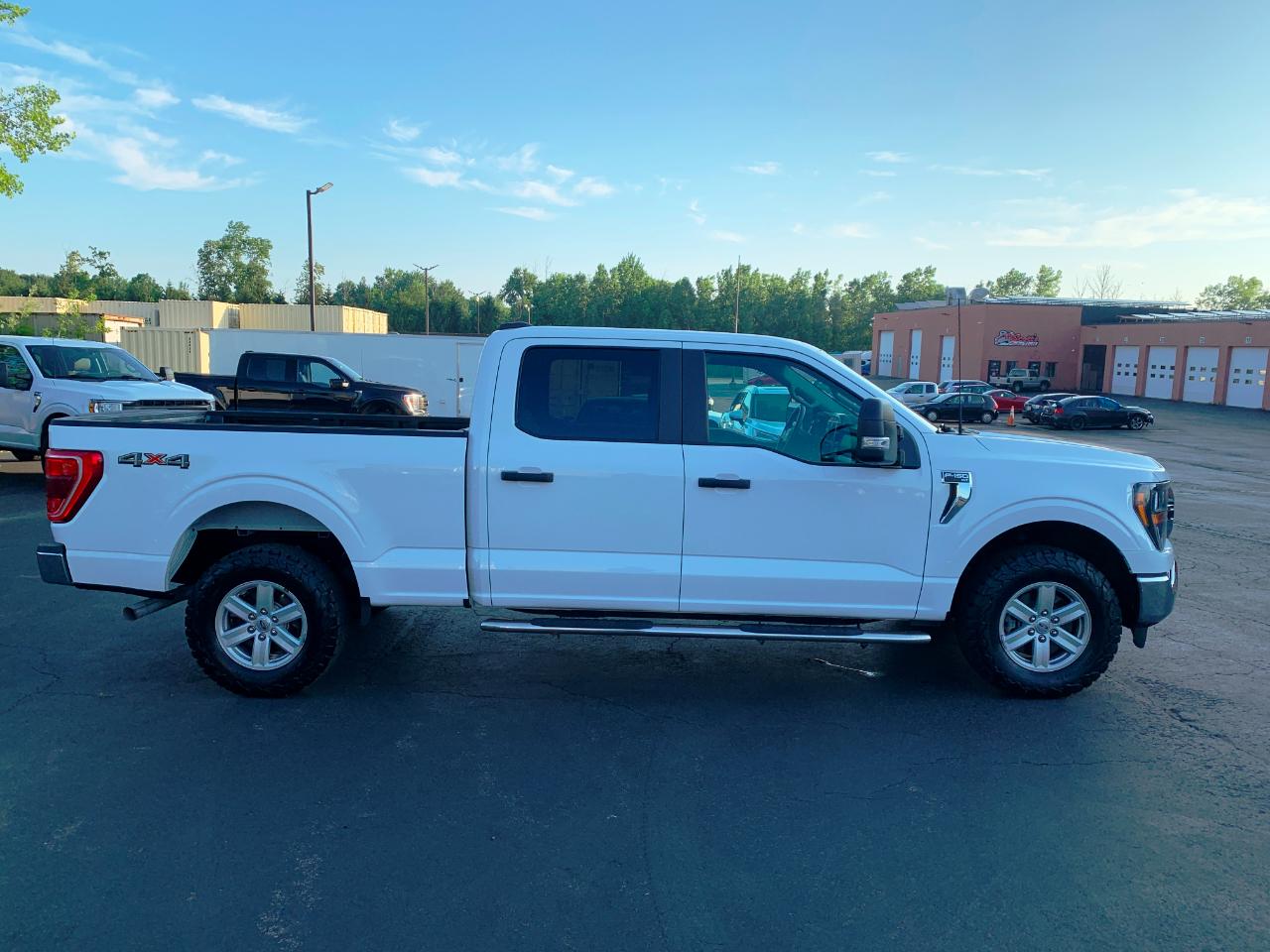 Ford F-150 XLT SuperCrew 6.5-ft. Bed 4WD 2023