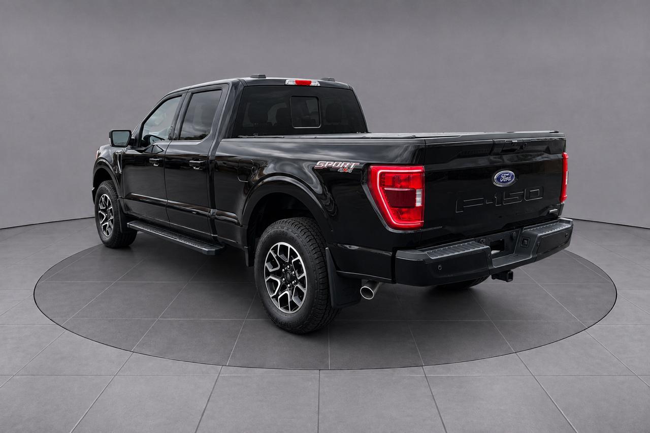 Ford F-150 XLT SuperCrew 6.5-ft. Bed 4WD 2022