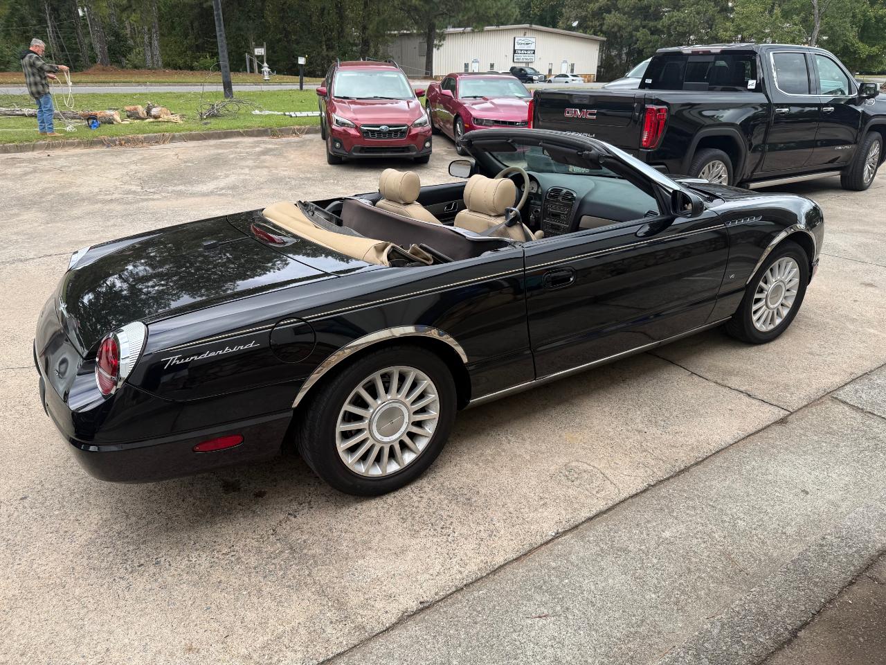 Ford Thunderbird photo 16