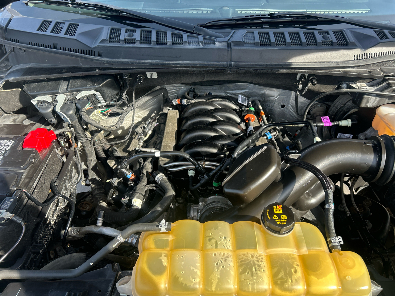 Ford F-150 4WD SuperCrew 139" XL 2019