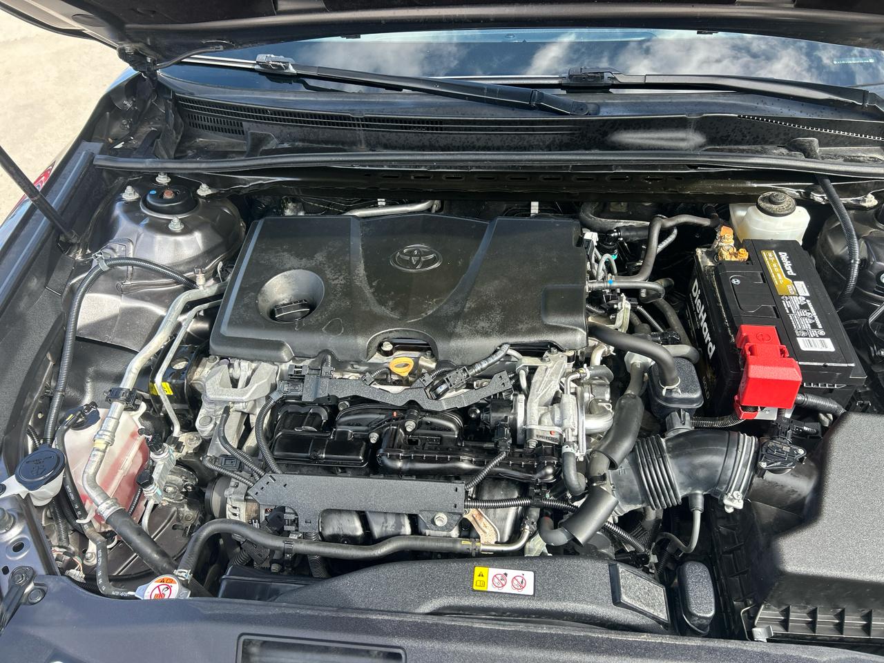 Toyota Camry XLE Auto (Natl) 2019